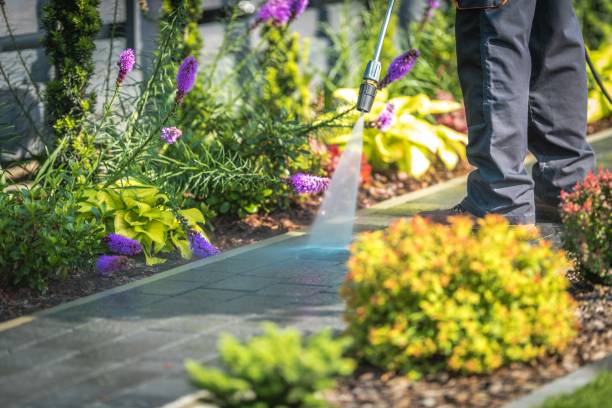 Reliable Wortham, TX Pressure Washing Services Solutions