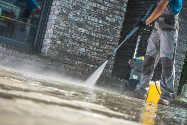 Best Fence Cleaning and Maintenance in Wortham, TX
