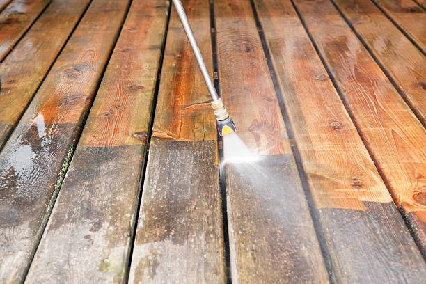 Best Roof Cleaning and Mildew Removal in Wortham, TX